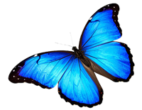 Riri's Birthday Logo